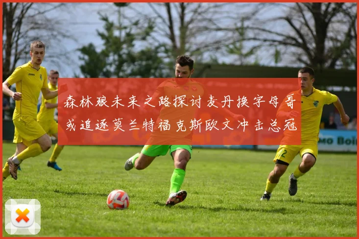 森林狼未来之路探讨麦丹换字母哥或追逐莫兰特福克斯欧文冲击总冠军